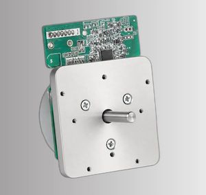 motor brushless 1