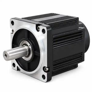 motor brushless 1