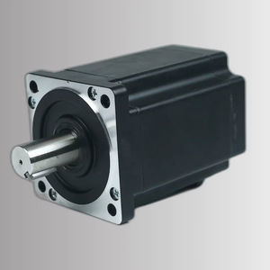 motor brushless 1
