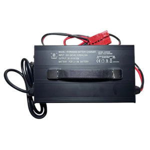 cargador de baterías para vehículo eléctrico 1