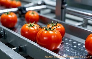 clasificador para la industria agroalimentaria 1