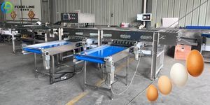 calibradora para productos alimentarios 1