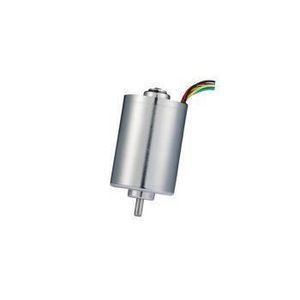 motor brushless