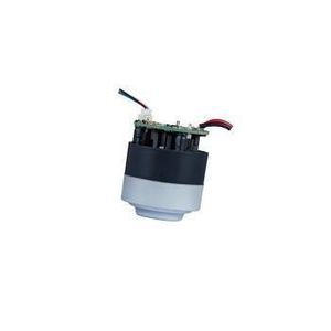 motor BLDC