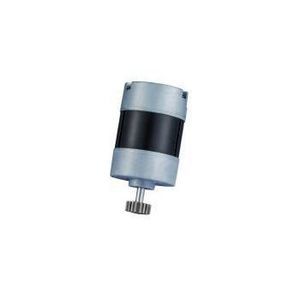 motor BLDC