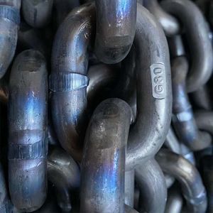 cadena de transmisión