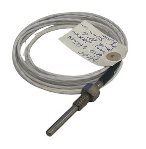 sensor de temperatura RTD 1