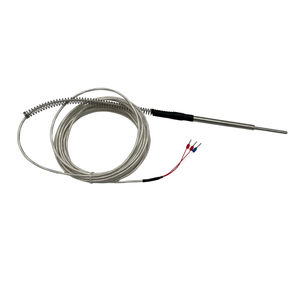 sensor de temperatura RTD 1
