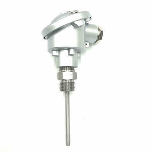 sensor de temperatura RTD 1