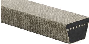 correa trapezoidal