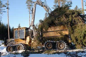 autocargador forestal