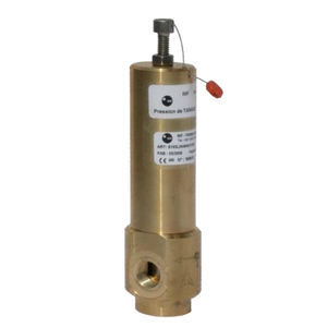válvula de seguridad de gas
