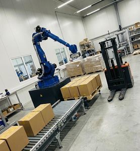 línea de embalaje para la industria alimentaria 1