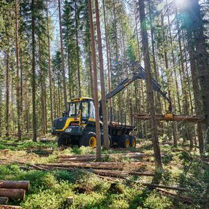 autocargador forestal 1
