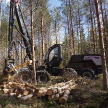 cosechadora forestal con orugas