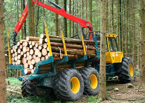 autocargador forestal