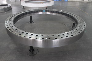 corona giratoria con dientes interiores 1