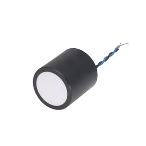 transductor de ultrasonidos cilíndrico 1