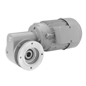 motorreductor DC