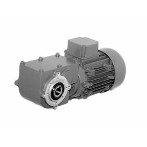 motorreductor DC