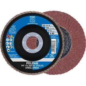 disco de láminas de pulido 1