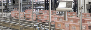 transportador con cadena / de cajas / modular / horizontal