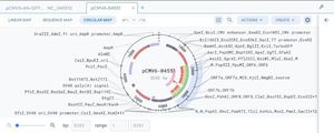 software de gestión de datos