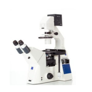 microscopio óptico