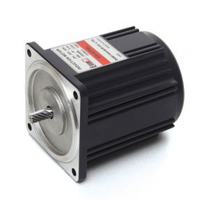 motor reversible 1