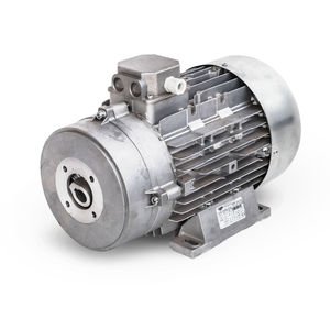 motor asíncrono 1