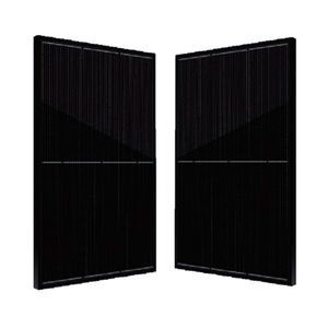 módulo fotovoltaico de silicio monocristalino 1
