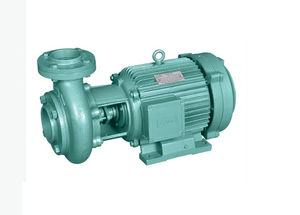 bomba de rotor 1