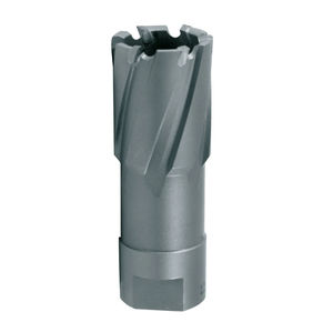 fresa hueca de carburo de tungsteno 1