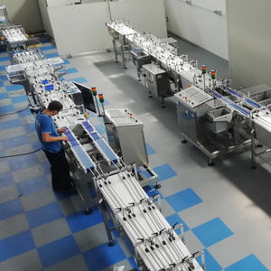 sistema de final de línea para embalaje