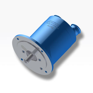 motor neumático de engranaje 1