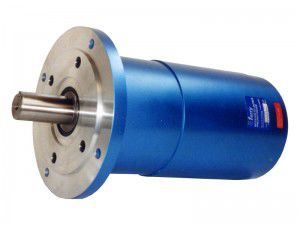 motor neumático de engranaje 1