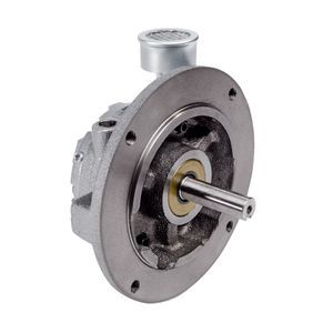 motor neumático con paleta 1