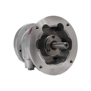motor neumático con paleta 1