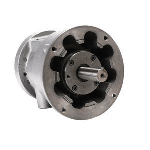 motor neumático con paleta 1