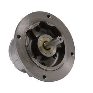 motor neumático con paleta 1