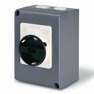 interruptor seccionador rotativo