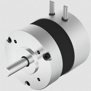 motor brushless 1