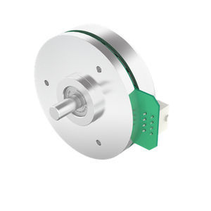 motor BLDC 1