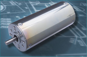 motor BLDC