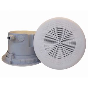 altavoz de techo 1