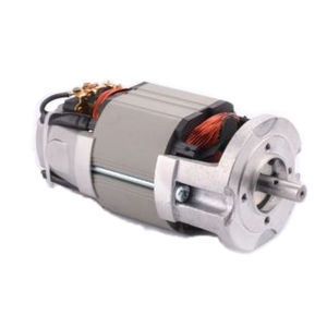 motor síncrono 1
