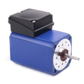 motor de inducción 1