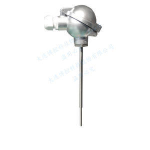 sonda de temperatura RTD