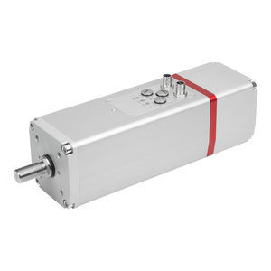 servo-cilindro electromecánico 1