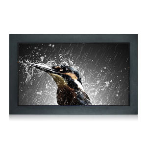 monitor LCD
